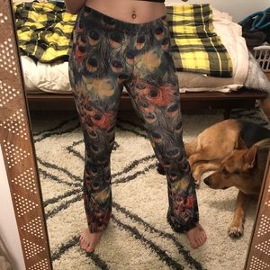 Grassroots California peacock velvet bootcut pants